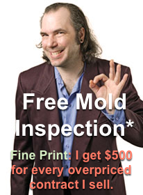 Free Mold Inspection Plainfield